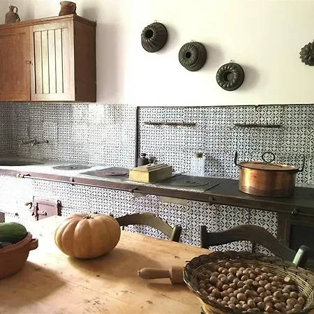 Don Michelino Etna House Tatil Evi